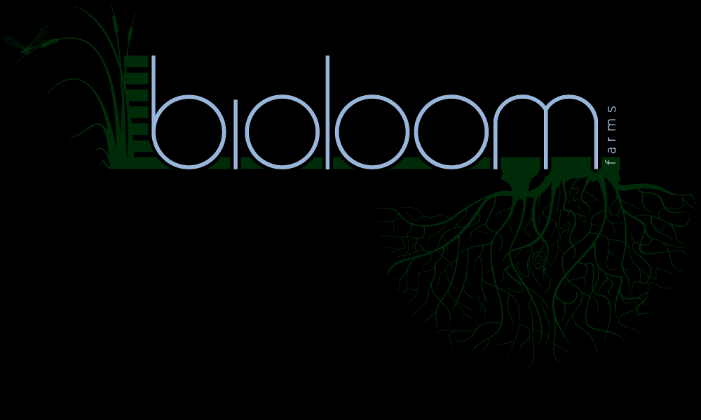 bioloomfarms_weblogo-1000x600-01